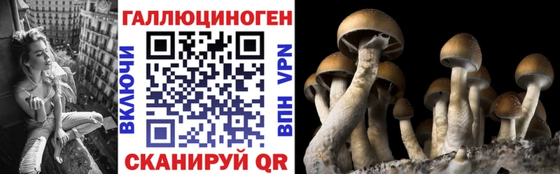 Галлюциногенные грибы мицелий  сайты даркнета телеграм  Теберда 